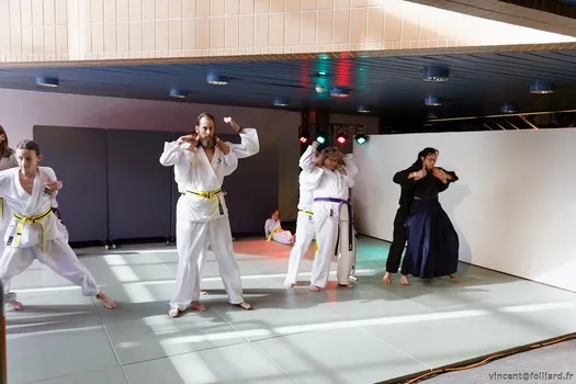 Copyright : Vincent Folliard